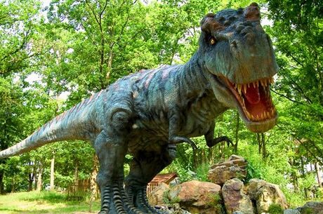 Dino Park