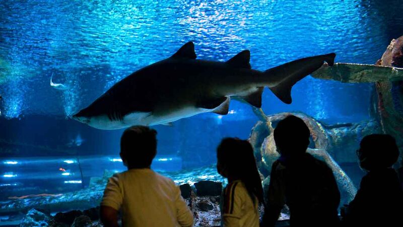 Aquarium