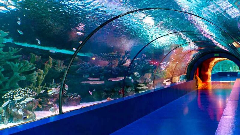 Aquarium