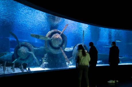 Aquarium